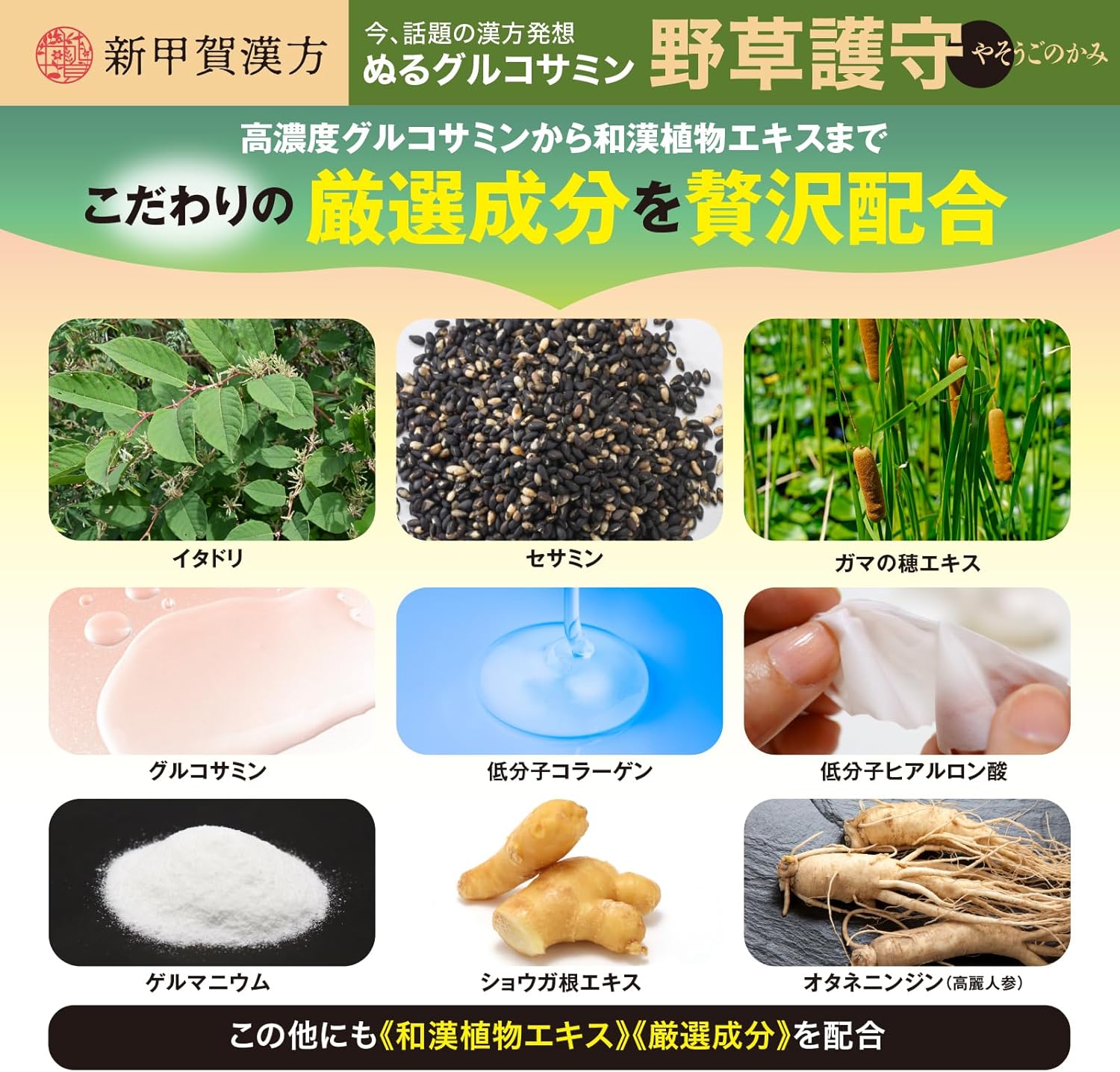 Shinkoka Kanpo Wild Grass Guard Yasoko Bite Glucosame, Chondroitin, Itadori, Sesaman, Gamma Bone, Knee, Glucosame Massage Cream