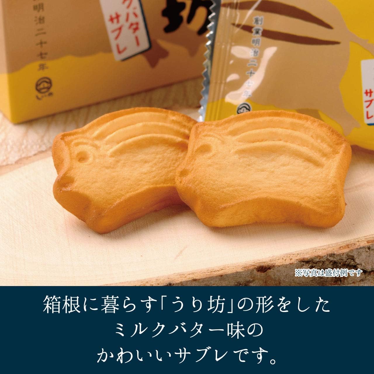 【Direct from Manufacturer】Shiino Foods Hakone no Uribo Milk Butter Sablé 12 pieces Souvenir Gift Sweets Mail Order