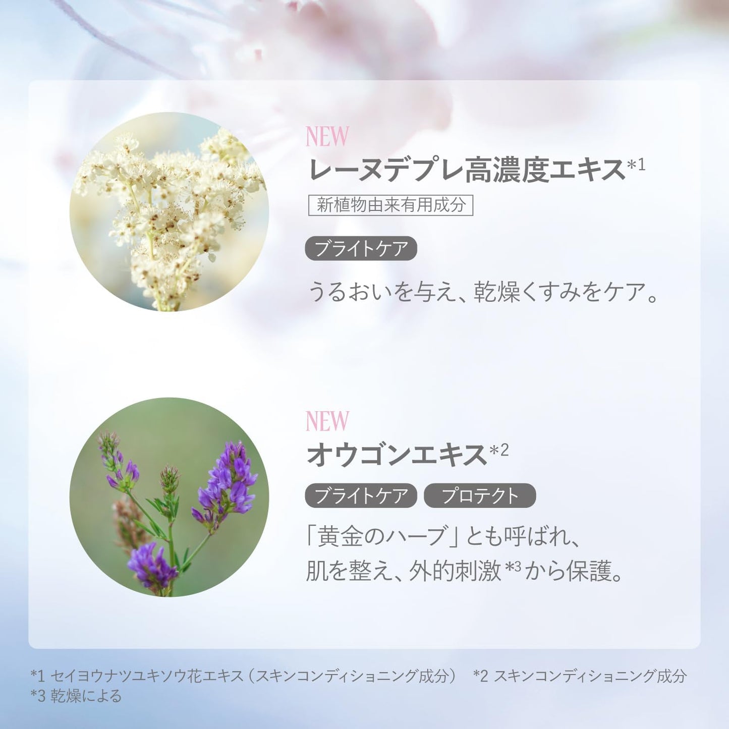 L'Occitane L'Occitane SPF 50/PA++++ Bright UV Shield, 1.1 fl oz (30 ml) Makeup Base, Sunscreen Milky Lotion, For Faces, Skin Care, Whitening