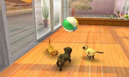 Nintendogs + Cats: Shiba & New Friends