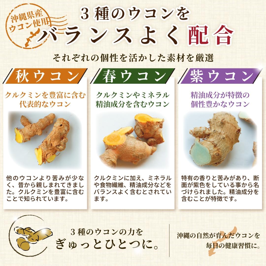 Shimanoya Ryuku Fermented Turmeric Supplement (Contains 3 Types of Turmeric