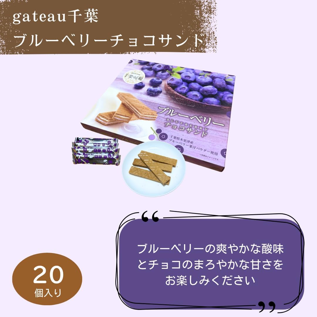 Chiba Souvenir "Blueberry Chocolate Sand", Pack of 20, Uses Blueberries from Chiba Prefecture, Souvenir, Sweets