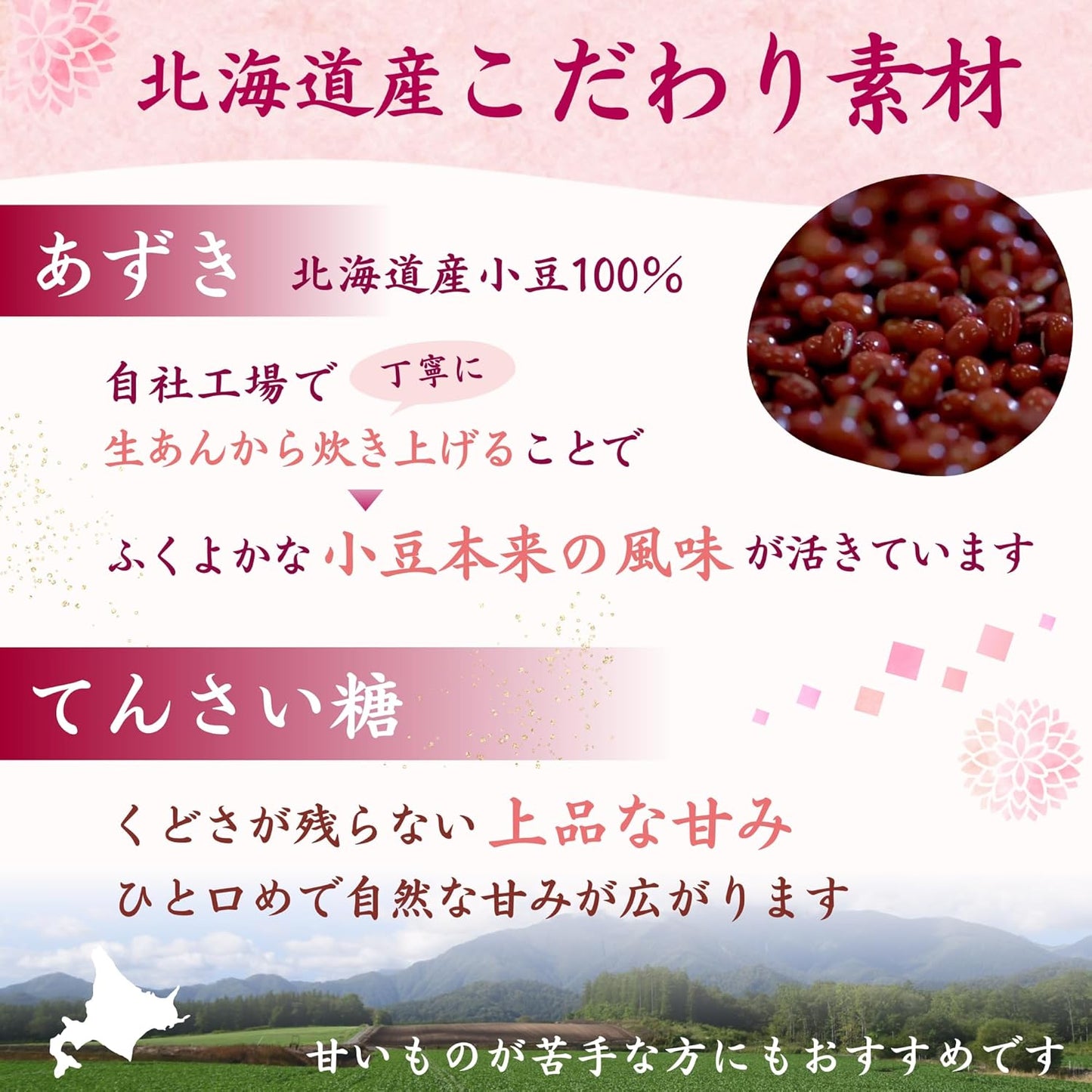 Wellsweet Salted Yōkan Hokkaido Small Red Beans 100% × Cane Sugar Stick Individually Wrapped Mini Yōkan 20g×10 Sticks