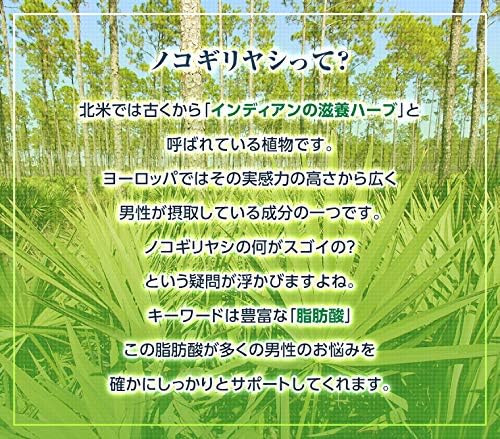 LOHAStyle Saw Palmetto + Zinc DX Supplement, 100 Tablets, Made in Japan, For Men, Pumpkin Seed Oil