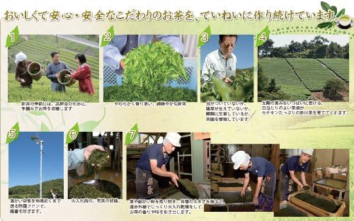Shizuoka Kogawa Tea, New Tea, Deep Steamed Tea, First Picked, 3.5 oz (100 g), 100% Kakawa Made in Kakawa Tea, Deep Mushi Tea, Sajimoto Tea