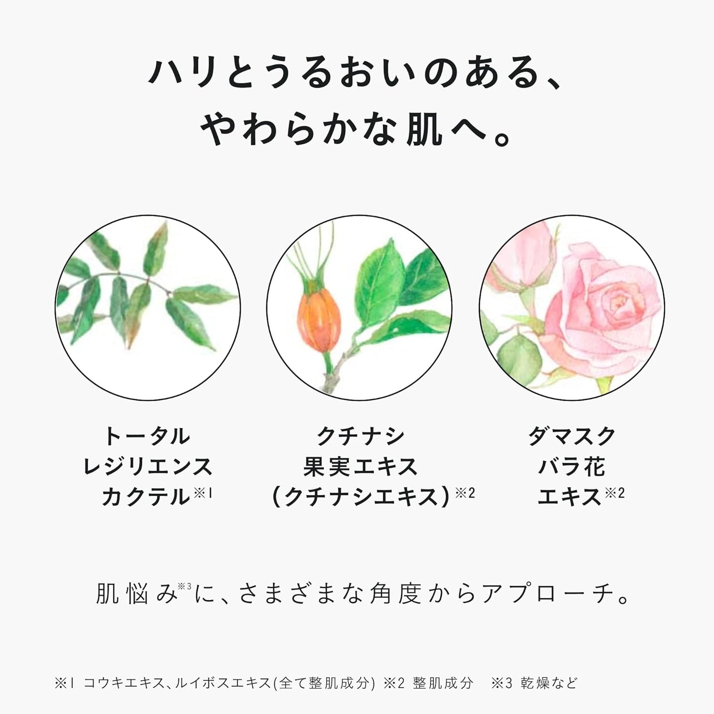 DECENCIA Lotion Refill with Sample Present, Lotion for Sensitive Skin, 4.2 fl oz (125 ml), Cream Pouch Included