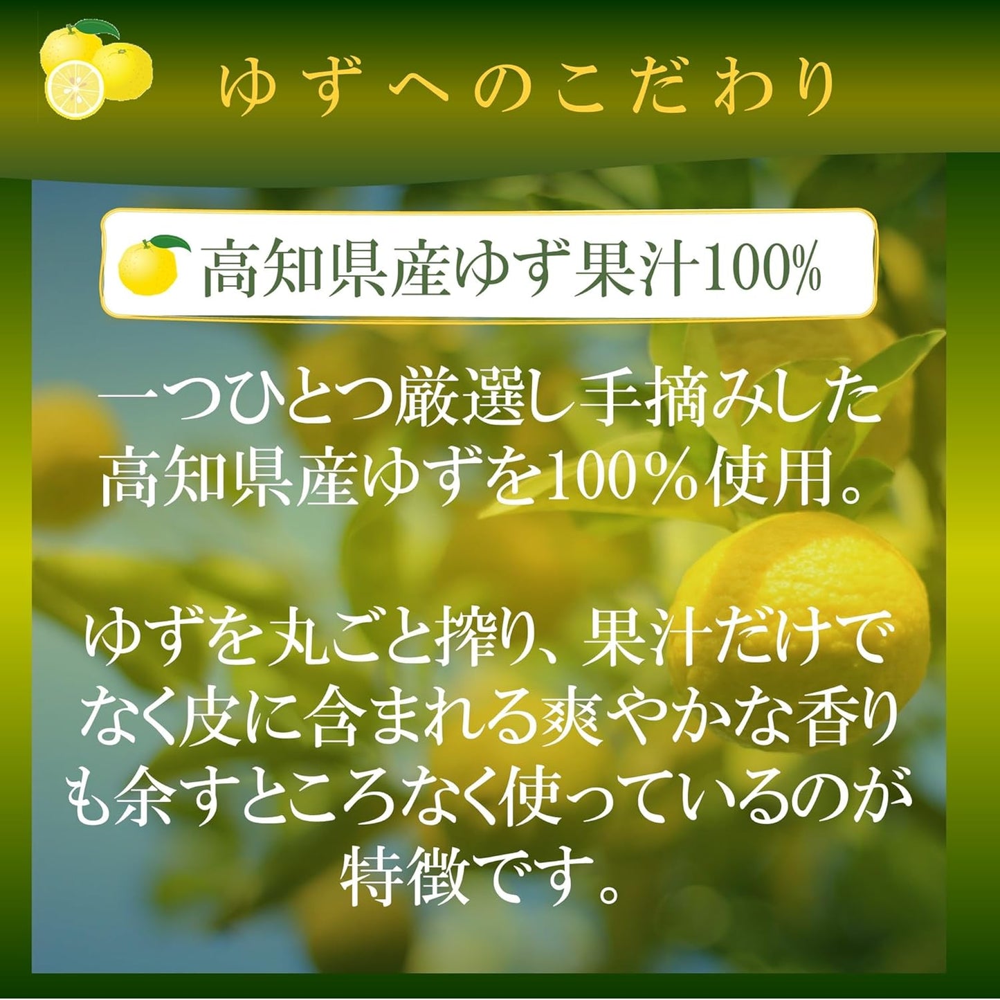 Mitsukan Commercial Use Kaori no Kura Marushibo Yuzu 33.8 fl oz (1 L) Ponzu