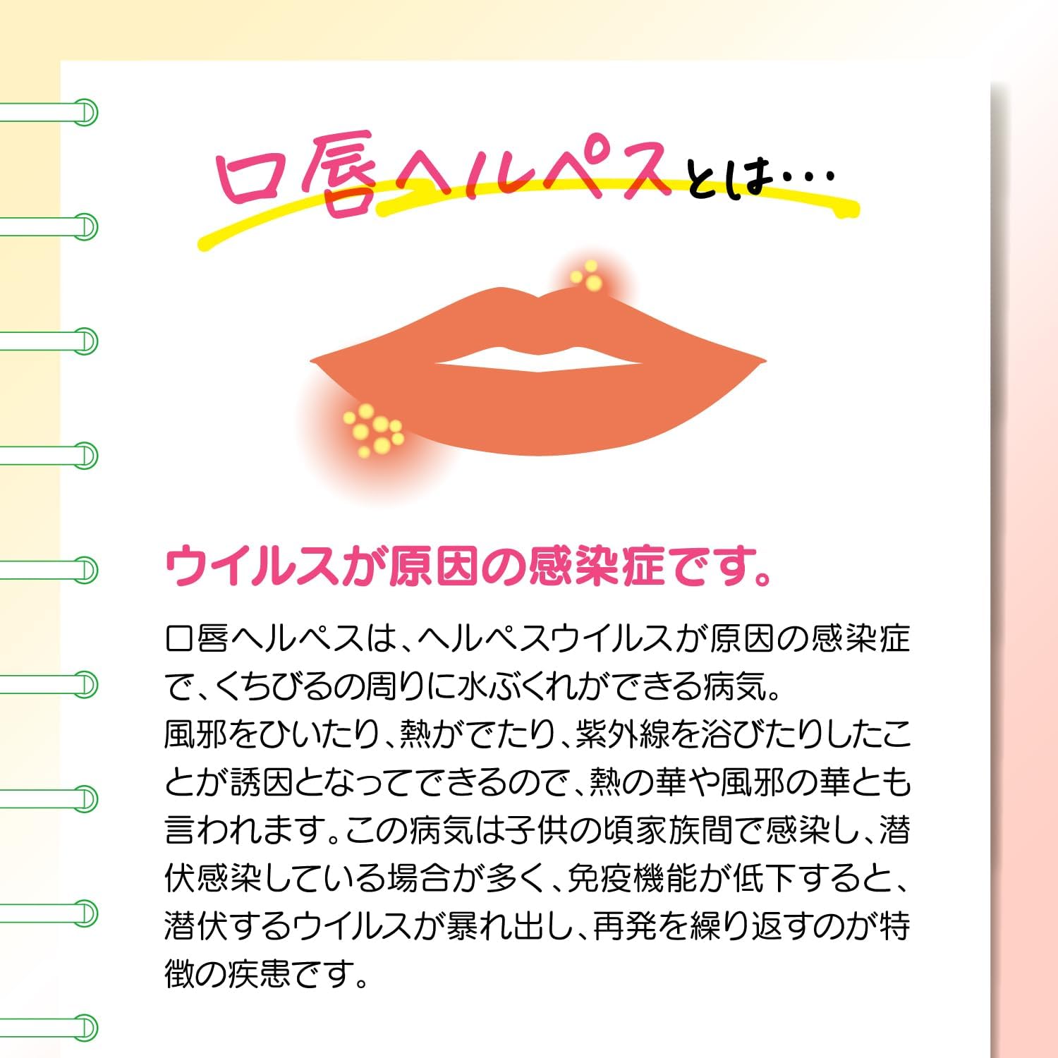 【First-class OTC drug】Herpesia Cream 2g