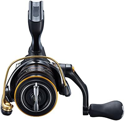 Shimano Spinning Reel, Soare XR, Various Light Salt Game