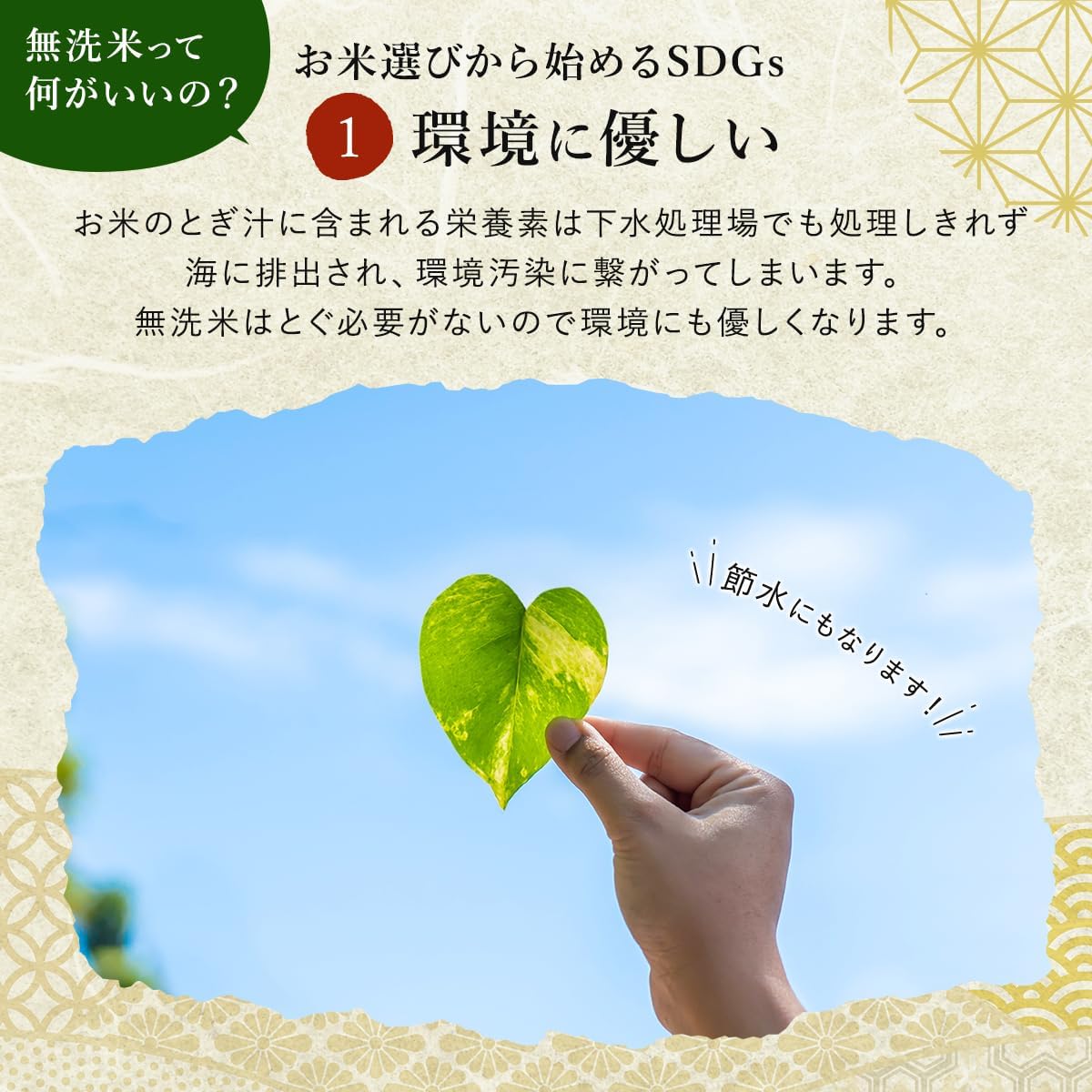 Nozawa Nousan 2025 Rice Rice Wash-Free Niigata Uonuma Koshihikari (5 kg, Wash-Free) | Mybest June 2026 Award Winner