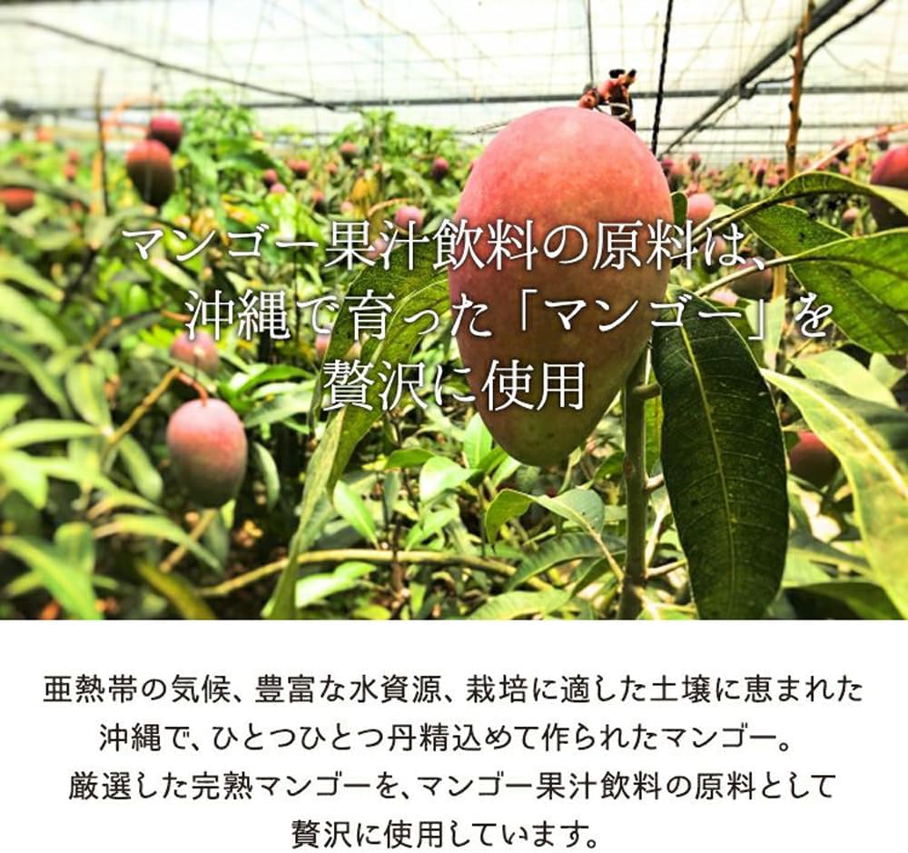 Okinawa Juice Drink, Souvenir, Order, Gift, Thick, Fully Ripened, Delicious, Made in Okinawa Prefecture, Mango Juice, 50% Fruit Juice