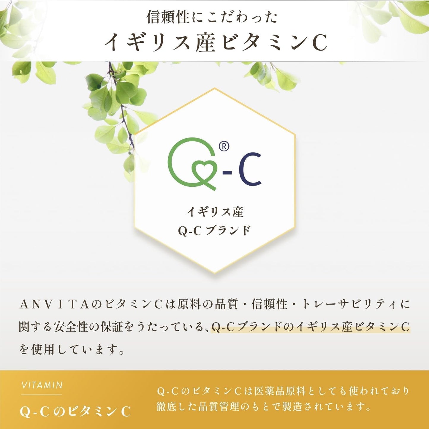 ANVITA Vitamin C 1000 mg 31 Day Supply (62 Tablets) UK-sourced Q®-C Domestically Manufactured No Added Colorants, Fragrances, or Preservatives ANVITA