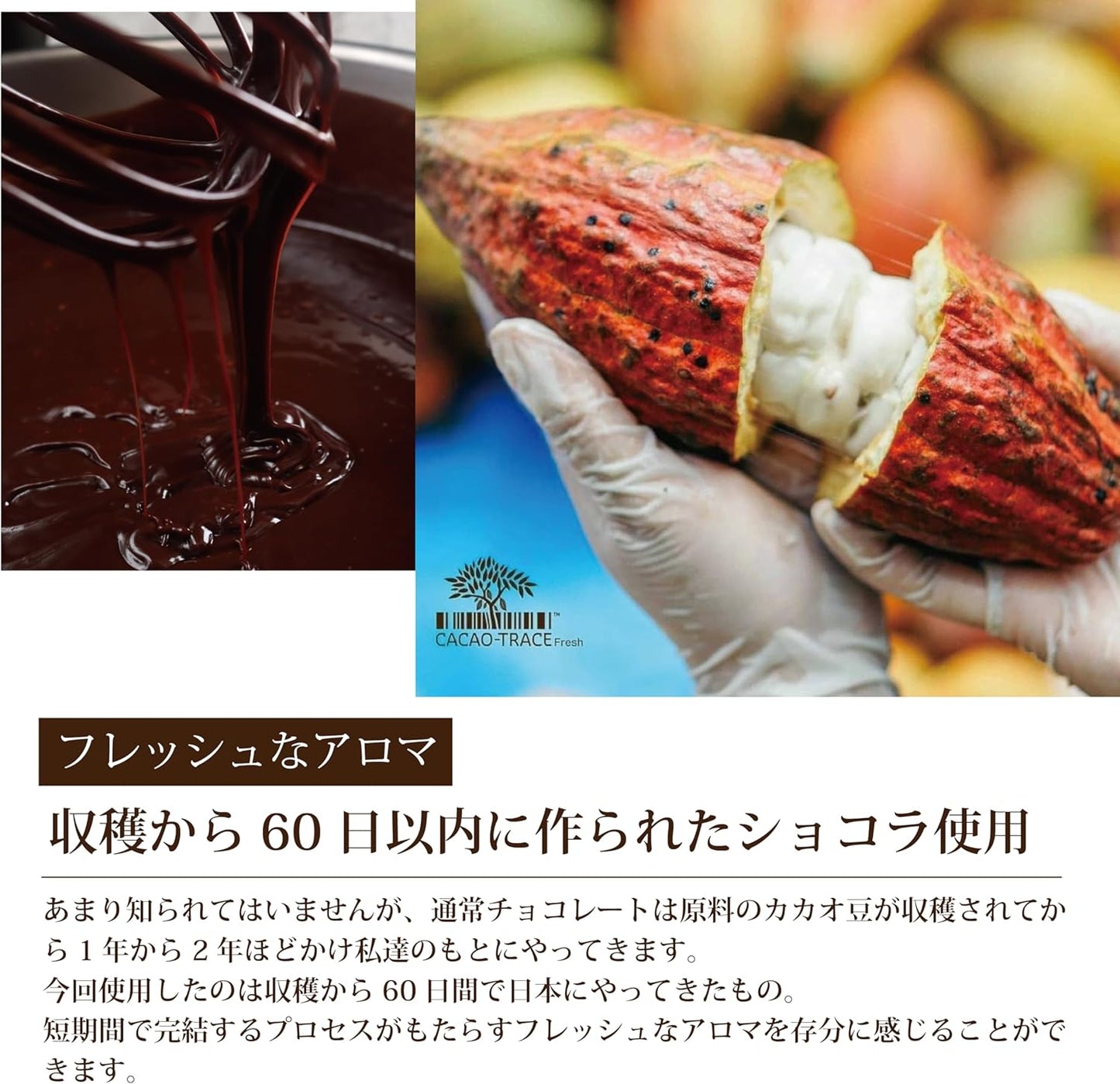 Maison Dumiel Gateau Chocolat Terrine Chocolat Sweets Gift Luxury Chocolate