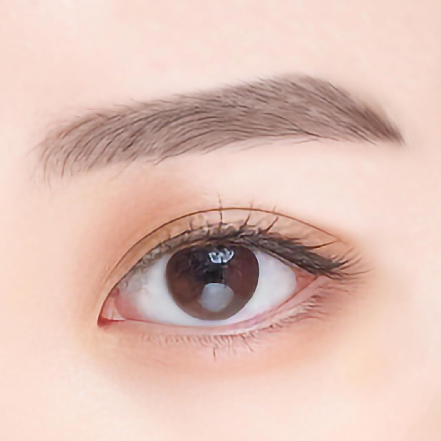 Lumia Glass Velvet Eyebrow (01. Ash Brown)