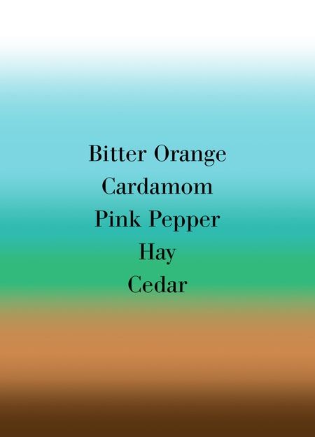 FREDERIC MALLE Bigarade concentree perfume 10 ml - Image 3
