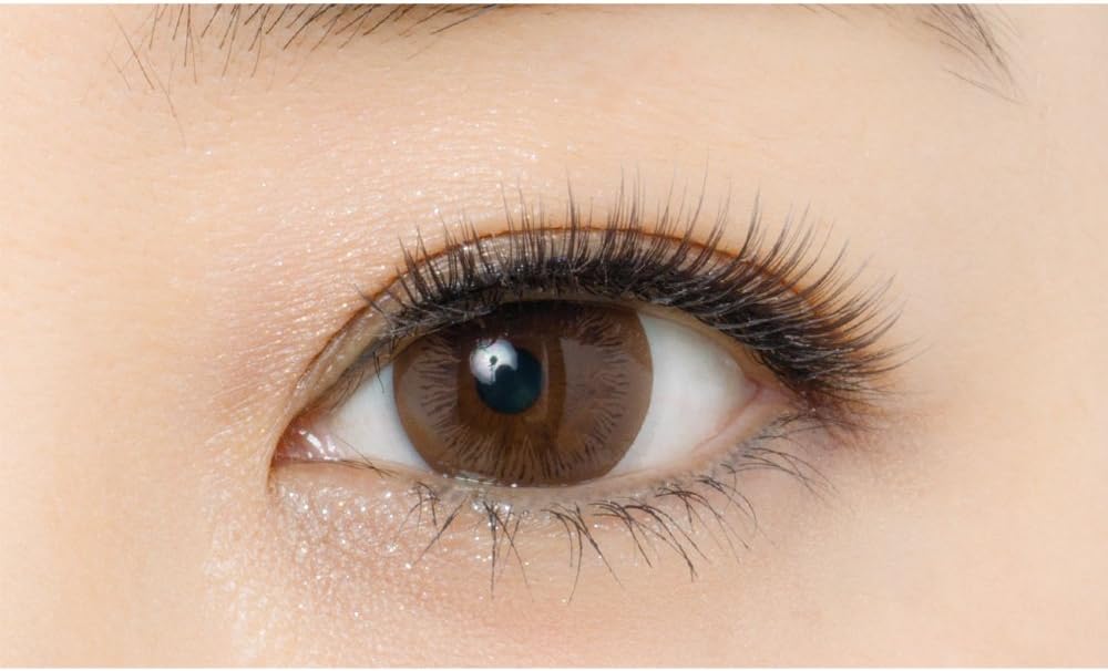 D-UP アイラッシュ ラッシュボーテ 【06 大人ガーリー】 (神崎恵 つけまつげ)