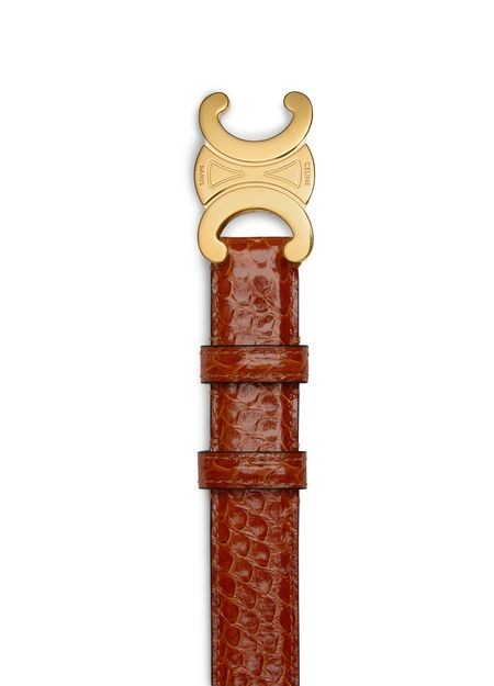 CELINE Medium Triomphe belt in python - Image 3