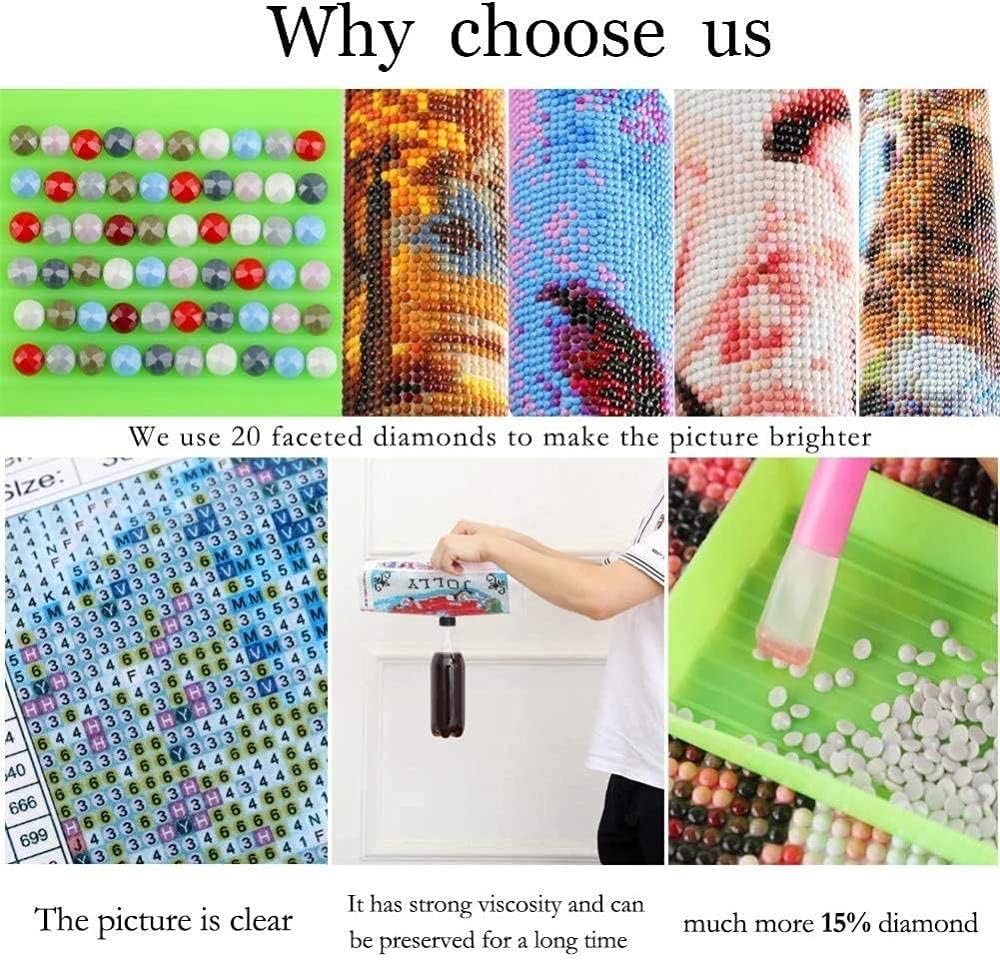 SY-Alisa Diamond Art, Hunter X Hunter Classic Japanese Anime, 5D Diamond Art Kit All Over Application Type Bead Art DIY Craft Kit 40x50cm