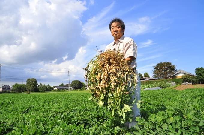 Mamesho Namagata Chiba Prefecture Yachimata-grown Peanuts Q Nuts Roasted Peanuts Q Nuts 210g Contract Farmers Only Used In-house Factory Production Roasted by Skilled Artisans