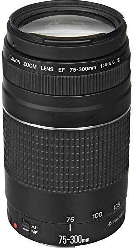 Canon EF 75 – 300 mm f / 4 – 5.6 III望遠ズームレンズfor Canon SLRカメラ、6473 a003 (認定Refurbished )