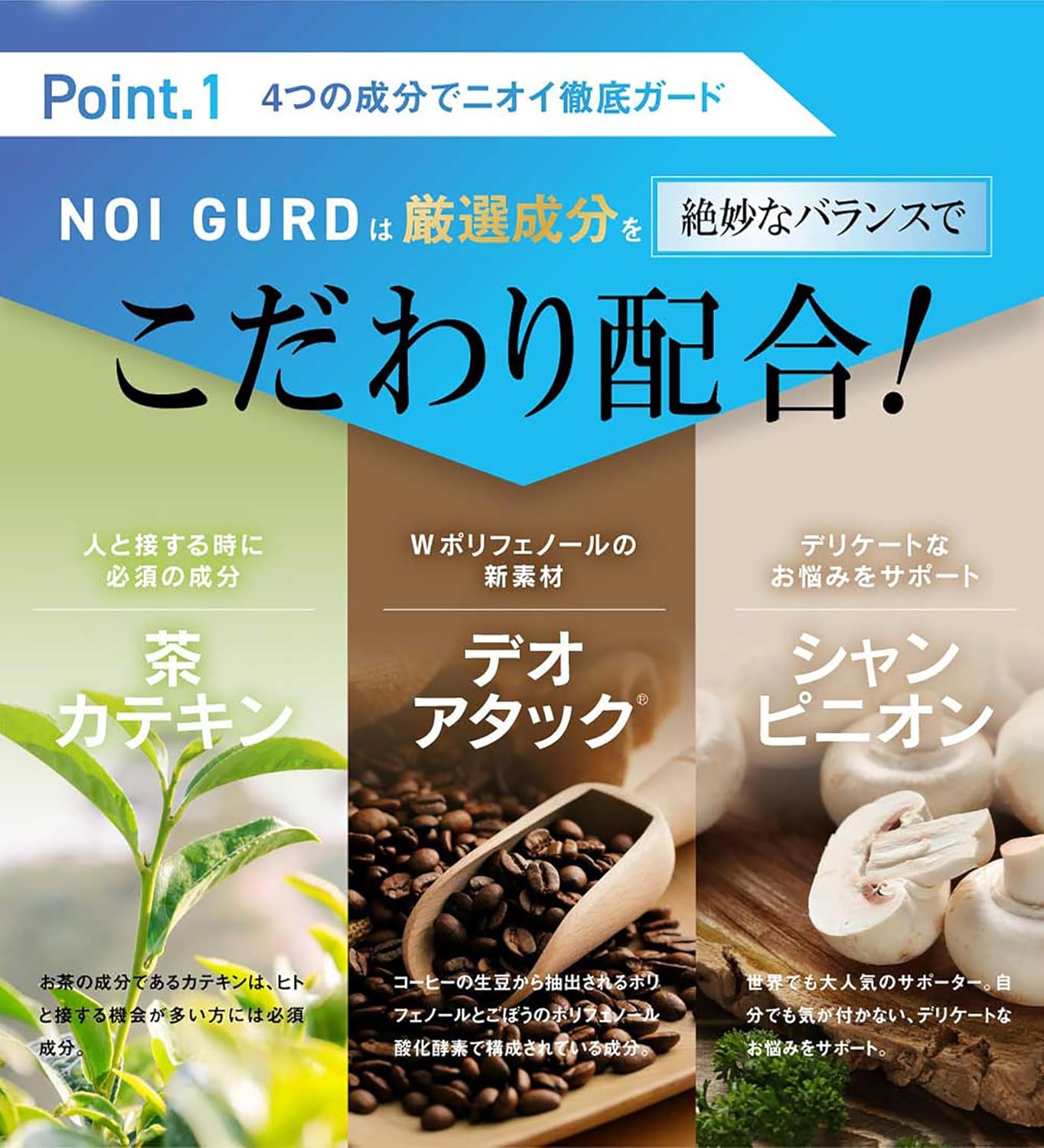 Etiquette Supplement, NOI GURD 31 Tablets/1 Month Supply, Champignon, Reuteri Bacteria, Lactic Acid Bacteria, DeoAttack Tea Catechin, Bamboo Charcoal, Oligosaccharide, Capsule Type