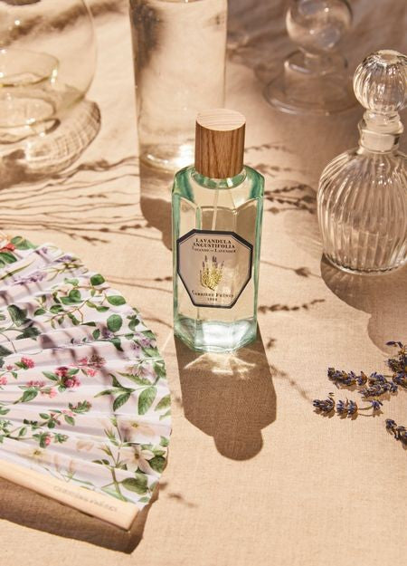 CARRIERE FRERES フレグランスディフューザー ラベンダー - ラヴァンデュラ・アングスティフォリア 200 ml - Image 3