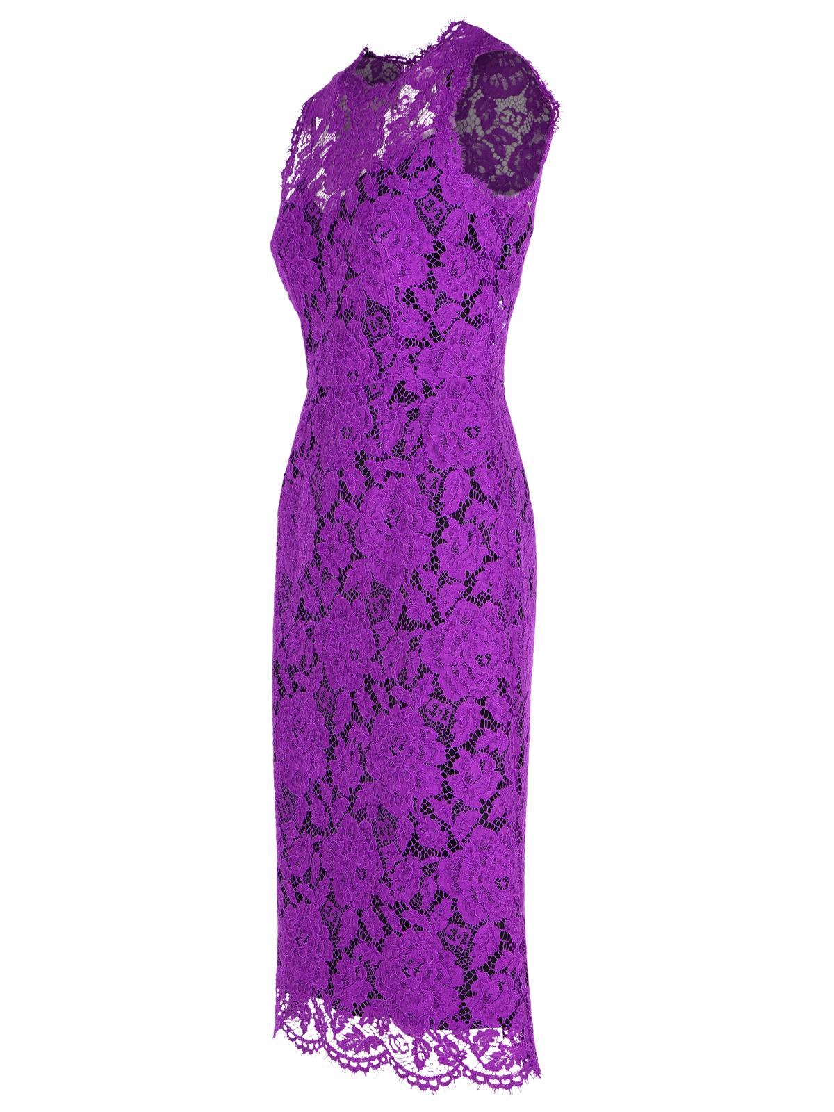 Dolce  Gabbana ドルチェ＆ガッバーナ「ロングエット」パープルストレッチレースドレス - Image 3