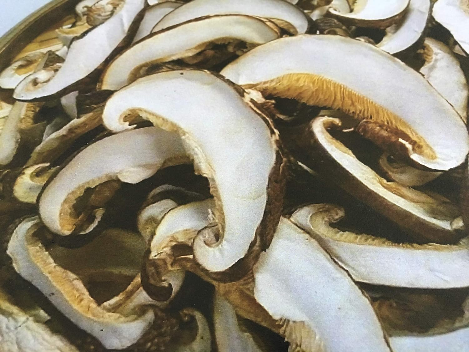 Kumamoto-Produced Log Shiitake Mushroom Slices, Organic, 50g, Rich in Vitamin B and D, Supports Gut Immunity, Convenient Zipper Storage