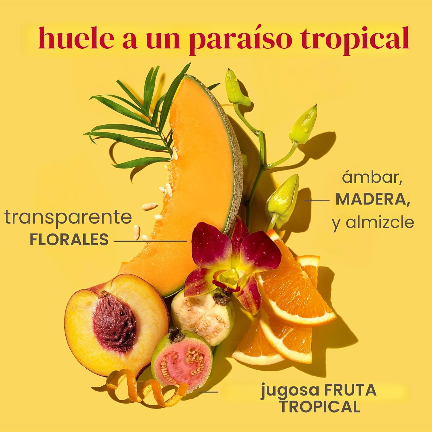 Burt's Bees Loción corporal potenciada, con un complejo de ceramida, niacinamida y péptidos, loción diaria ligera que ayuda a aumentar la barrera cutánea, aroma tropical, botella de 13 onzas