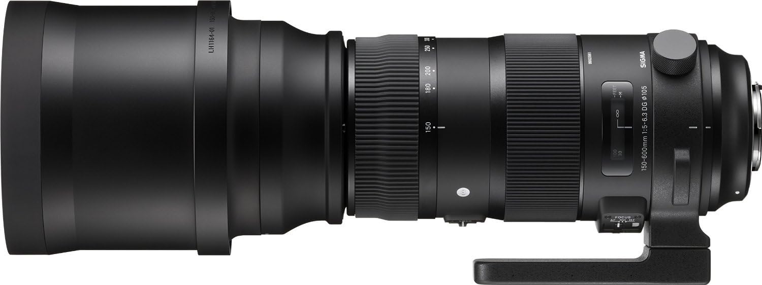 Sigma 150-600mm F5-6.3 S DG OS HSM