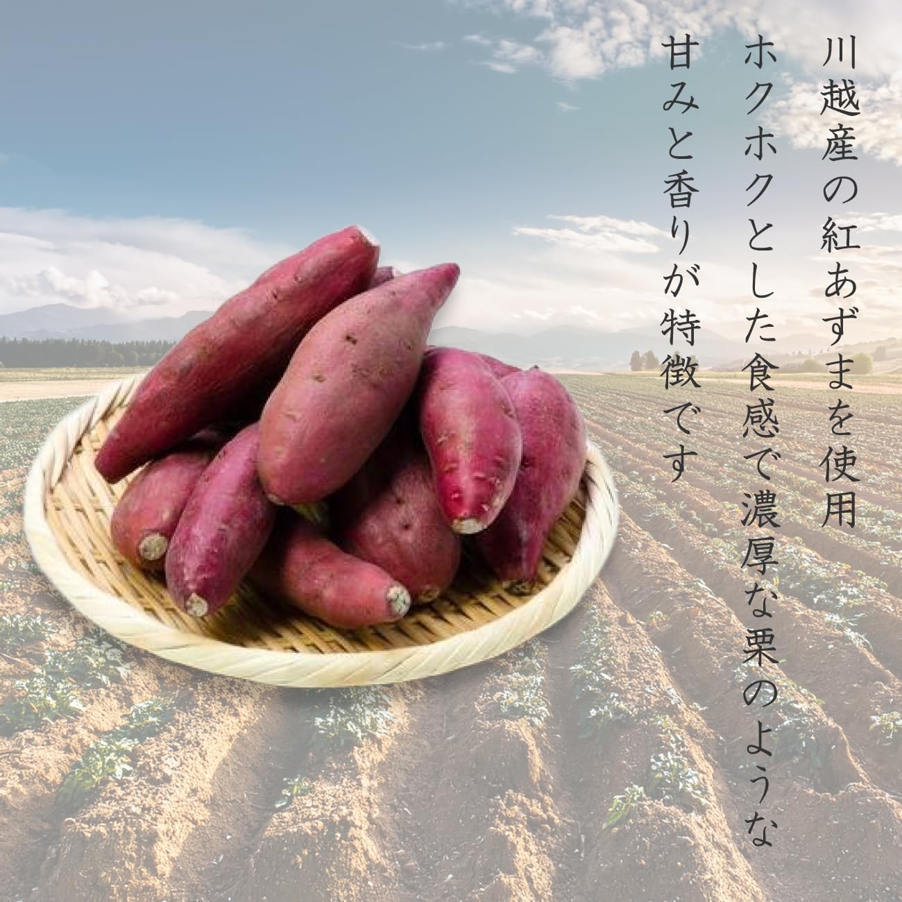 HATAYA Hitsuki Yokan Roasted Potatoes, Pack of 12, Kawaoshi Sweet Potatoes, Red Azuma, Yokan