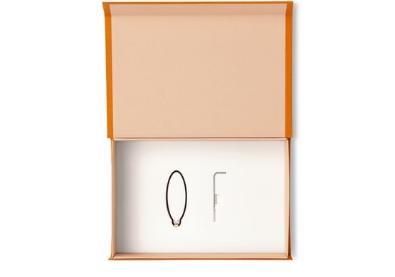 LOUIS VUITTON Frame System - Image 3