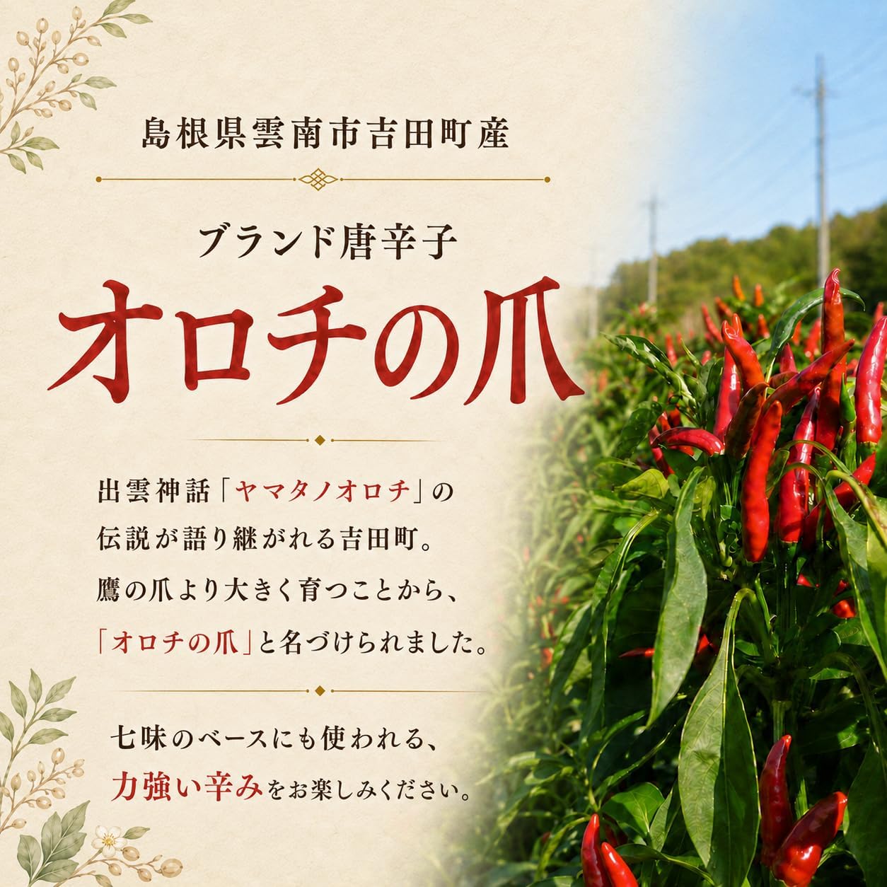 Yoshida Furusato Mura, Orochi Claws, Ichi Pepper Refill, 0.5 oz (15 g), Made in Shimane Prefecture, Additive-free, Zipper Included