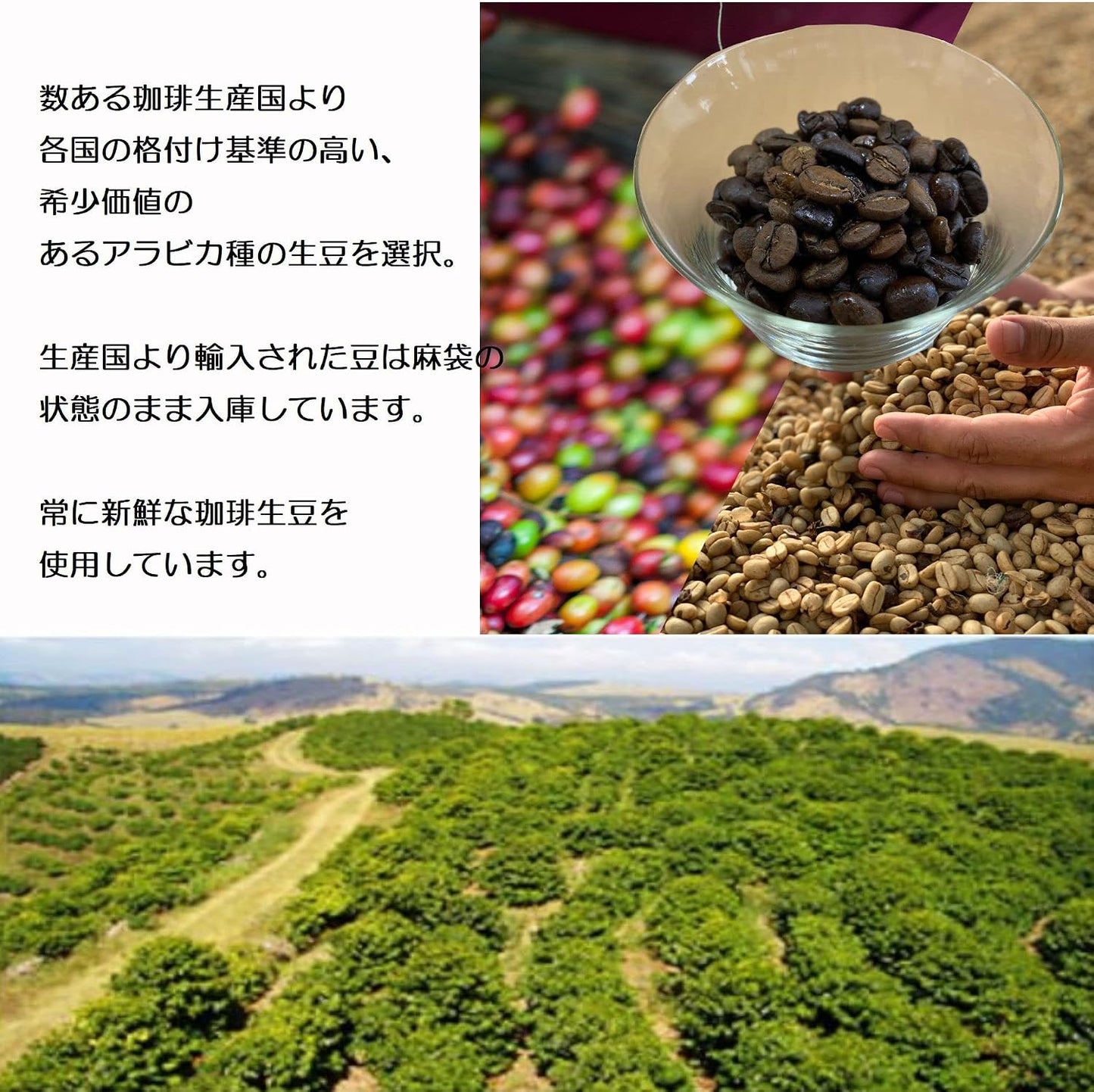 Hakata Coffee Drip Bags Souvenir Gift Present for Office Use Creative Coffee Hakata Fukuoka (Hakata Coffee, 10 pieces)