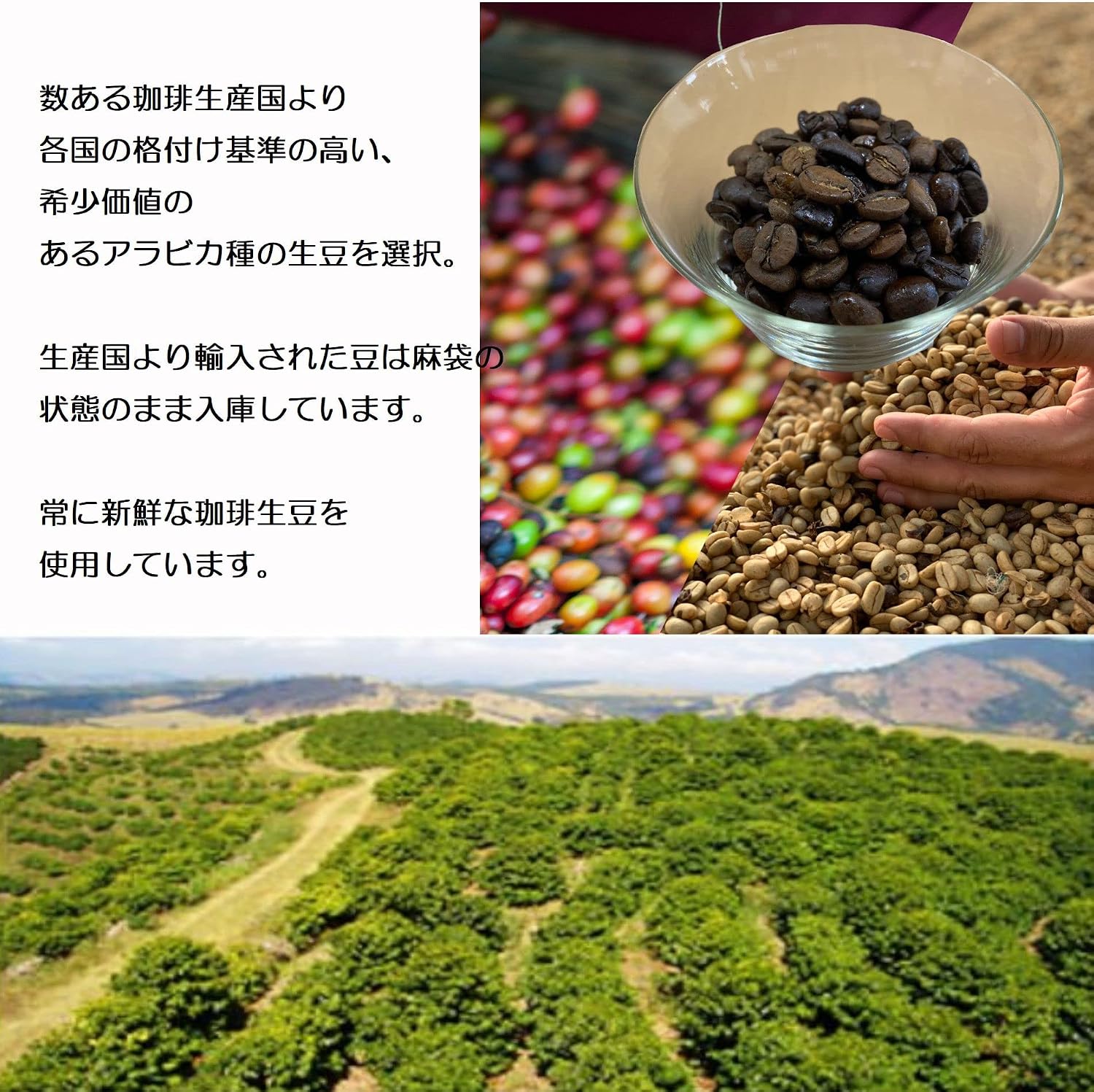Hakata Coffee Drip Bags Souvenir Gift Present for Office Use Creative Coffee Hakata Fukuoka (Hakata Coffee, 10 pieces)