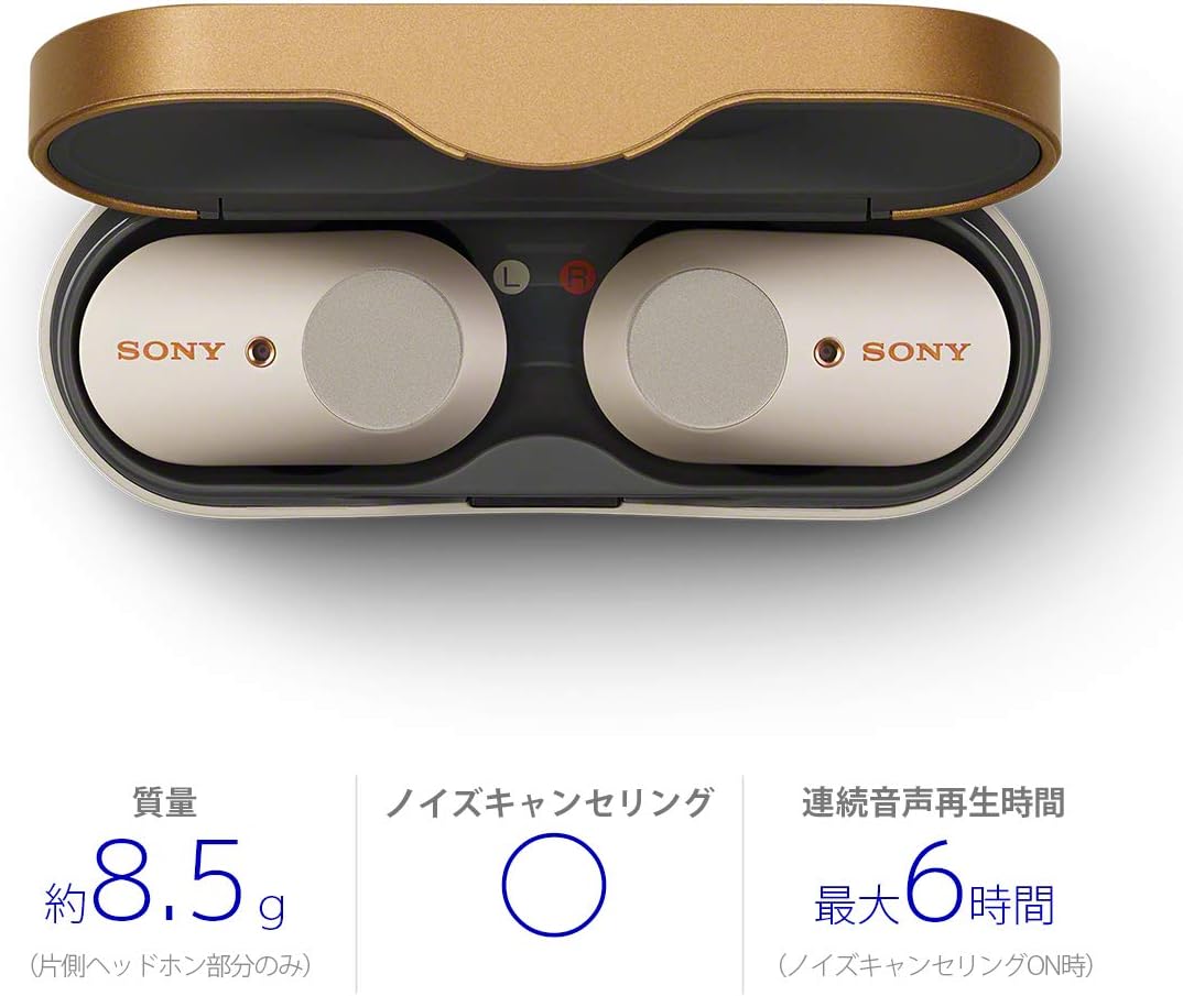 Sony WF-1000XM3 Wireless Noise Cancelling Earbuds, Fully Wireless, Alexa, Bluetooth, High Resolution Equivalent, Up to 6 Hours of Continuous Playback, 2019 Model / Microphone Included, 360