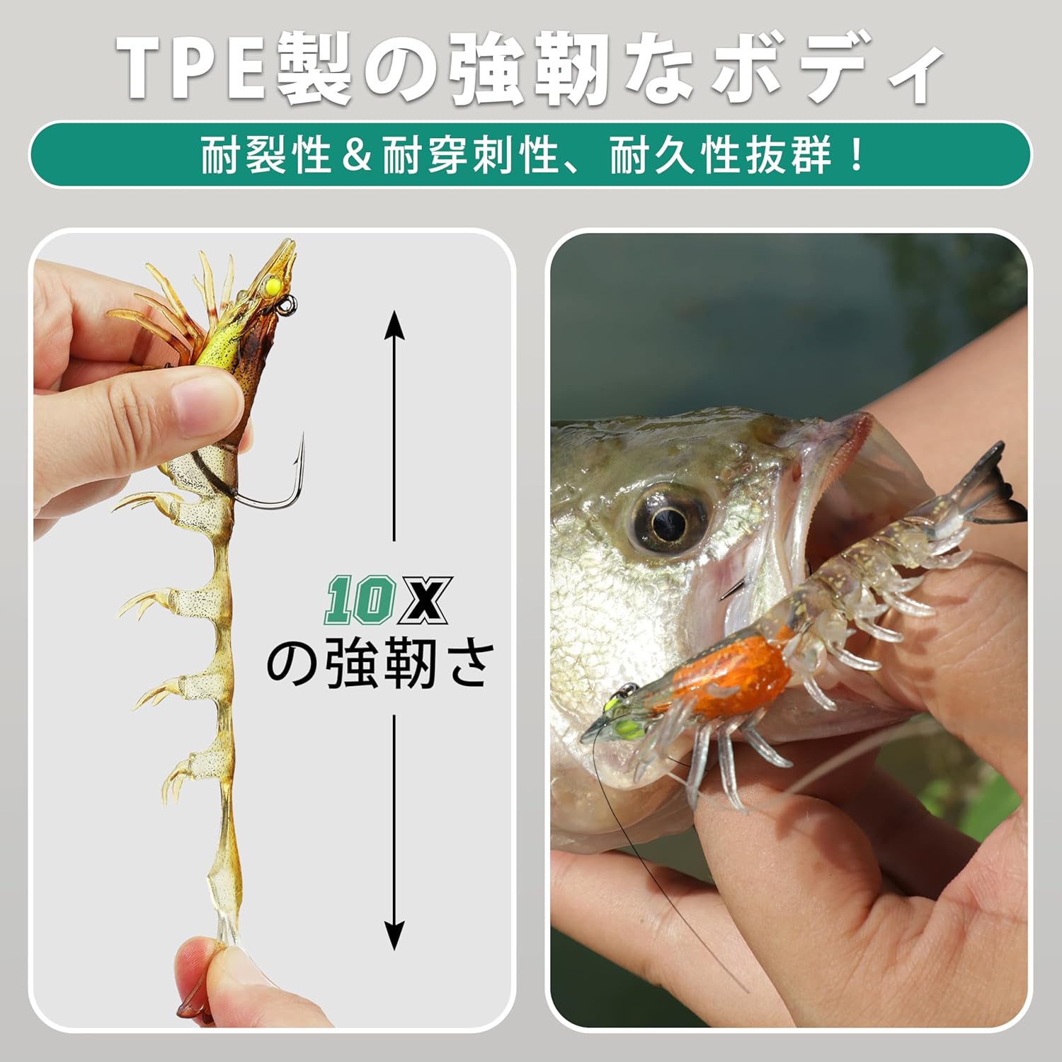 TRUSCEND 1:50 Super Durable TPE Worm Soft Lure, Fine Craft, Lifelike Shrimp, Crawfish, Shad Lure Set, Weedless, Sea Bass, Trout, Blue, Sawala, and Other Fish, For Saltwater and Freshwater Use