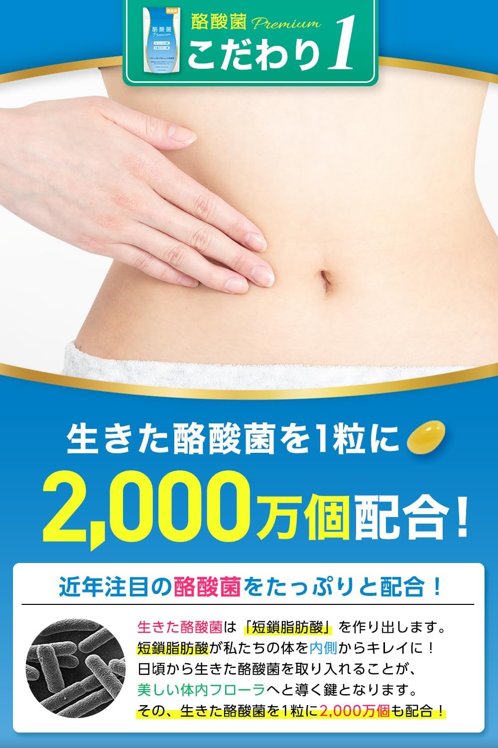 【Increased Version 120 Capsules】A-Gift Butyric Acid Bacteria Premium 24 Billion, 20 Million Per Capsule, Bifidobacterium, Short-Chain Fatty Acids, 30 to 120 Day Supply