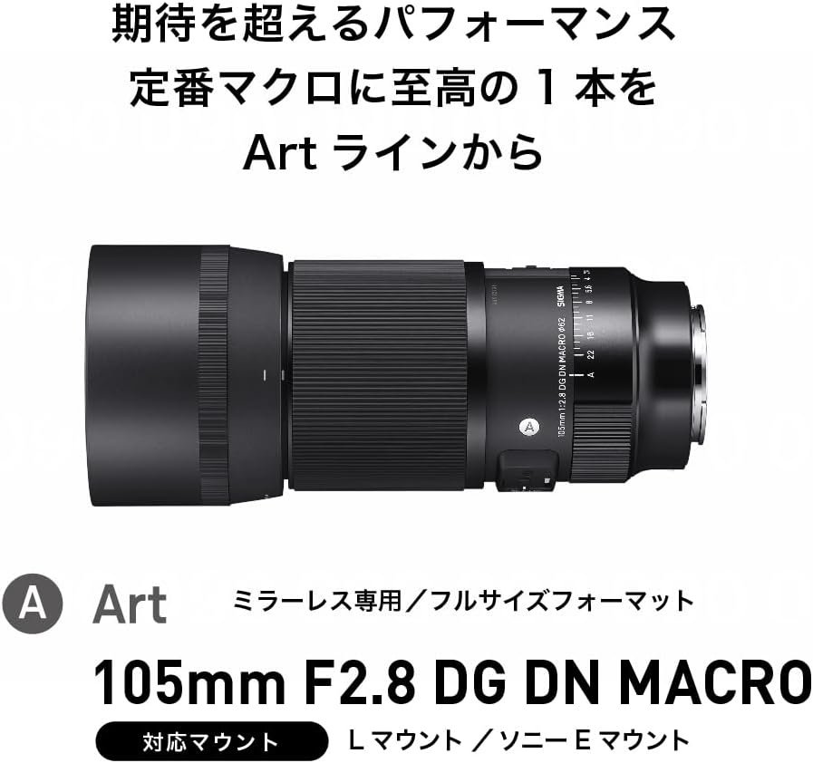 Sigma Sony E-Mount Lens 105mm F2.8 DG DN MACRO Monofocal Telephoto Full Size for Art Mirrorless