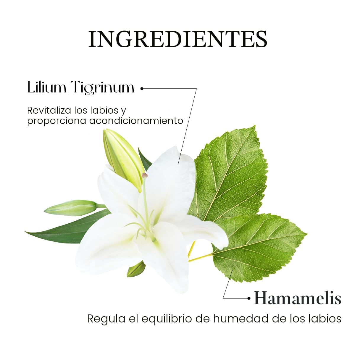 Peripera Ink Mood Glowy Tint | Tinte labial que realza los labios, naturalmente hidratante, ligero, que realza el brillo, duradero, cómodo, no pegajoso, sin película blanca (003 ROSE IN MIND)
