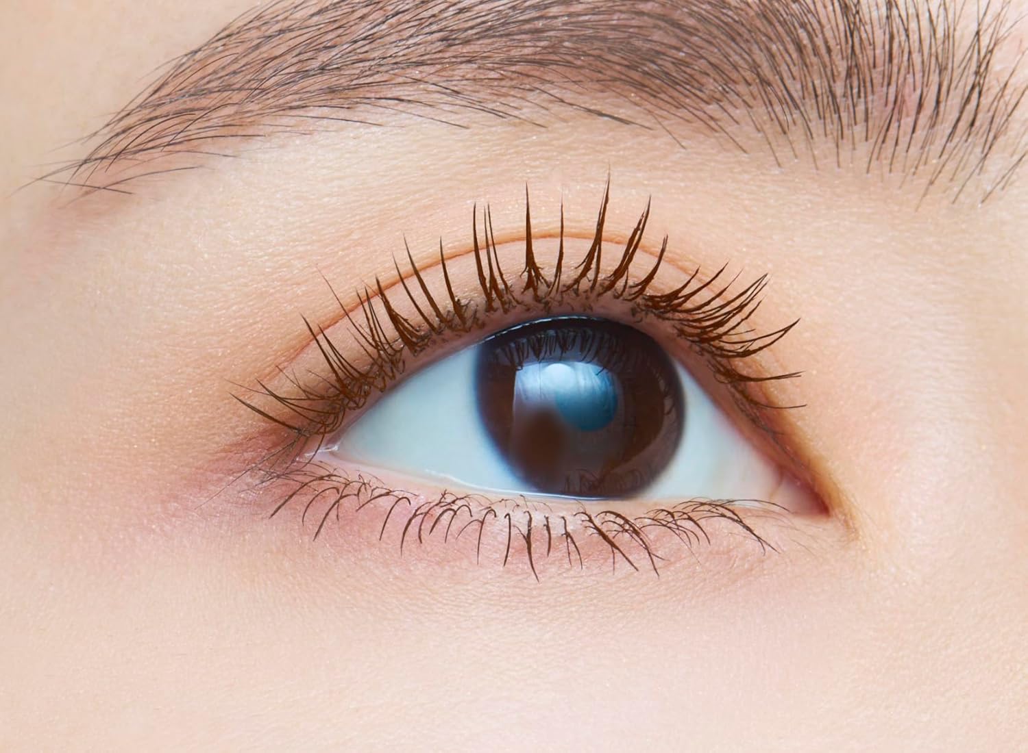 dejavu Applying False Eyelashes, Volume Type, Lash Knockout, Extra Volume, 2, Mocha Brown, Mascara, Film Type