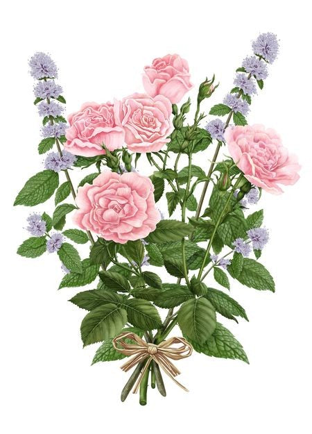 CARRIERE FRERES Diffuser La Rose aime la Menthe - 200 ml - Image 3