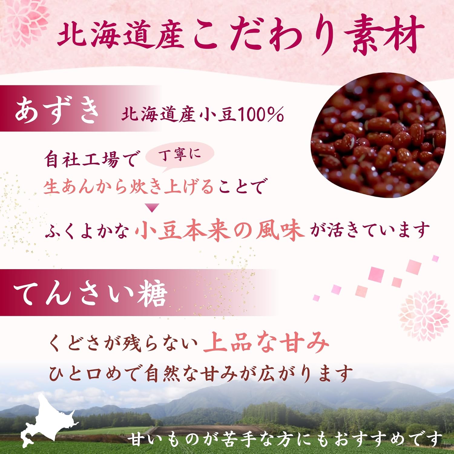 Wellsweet Salted Yōkan Hokkaido Small Red Beans 100% × Cane Sugar Stick Individually Wrapped Mini Yōkan 20g×10 Sticks