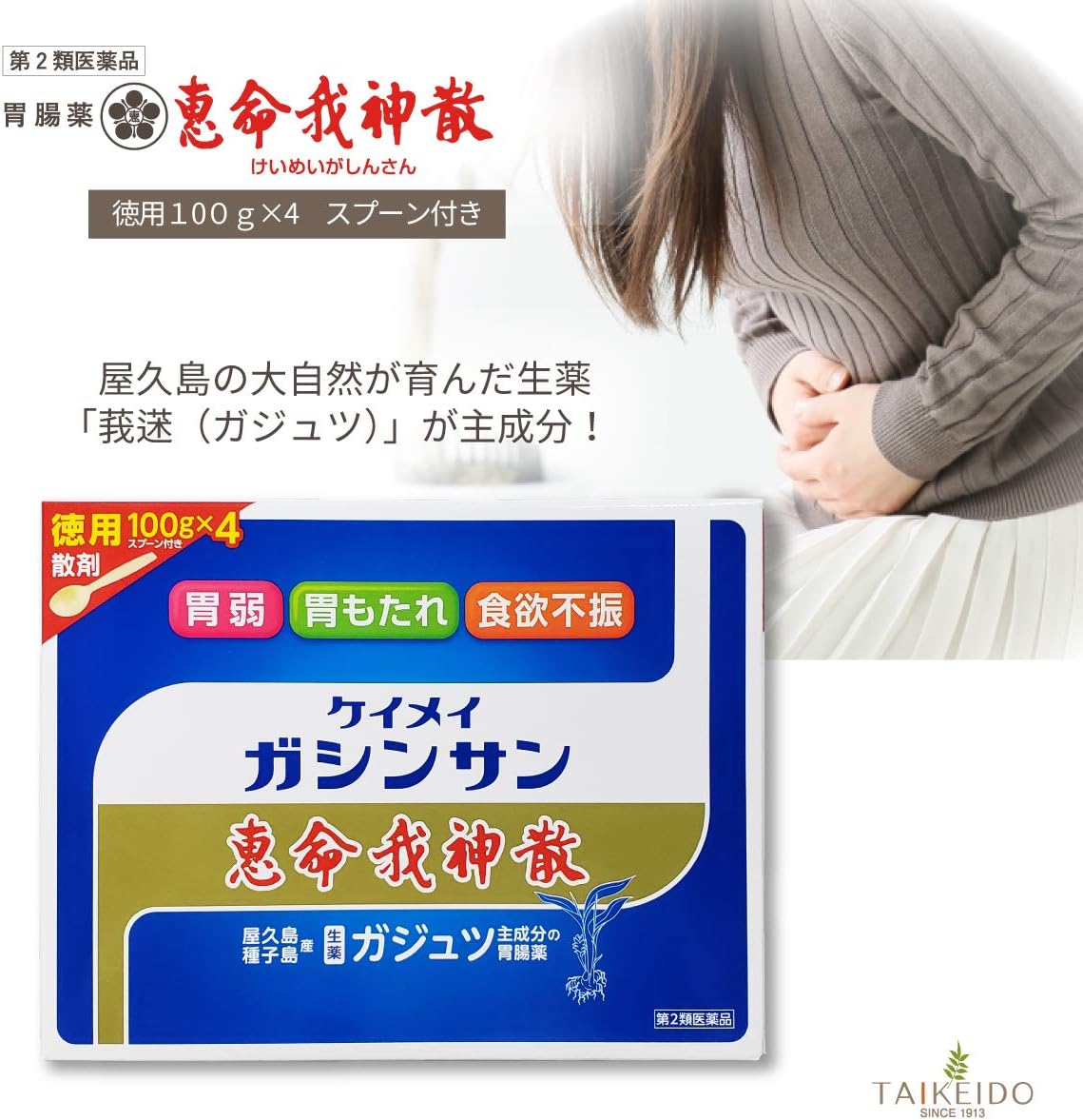 【第2類医薬品】恵命我神散 100g×4包入