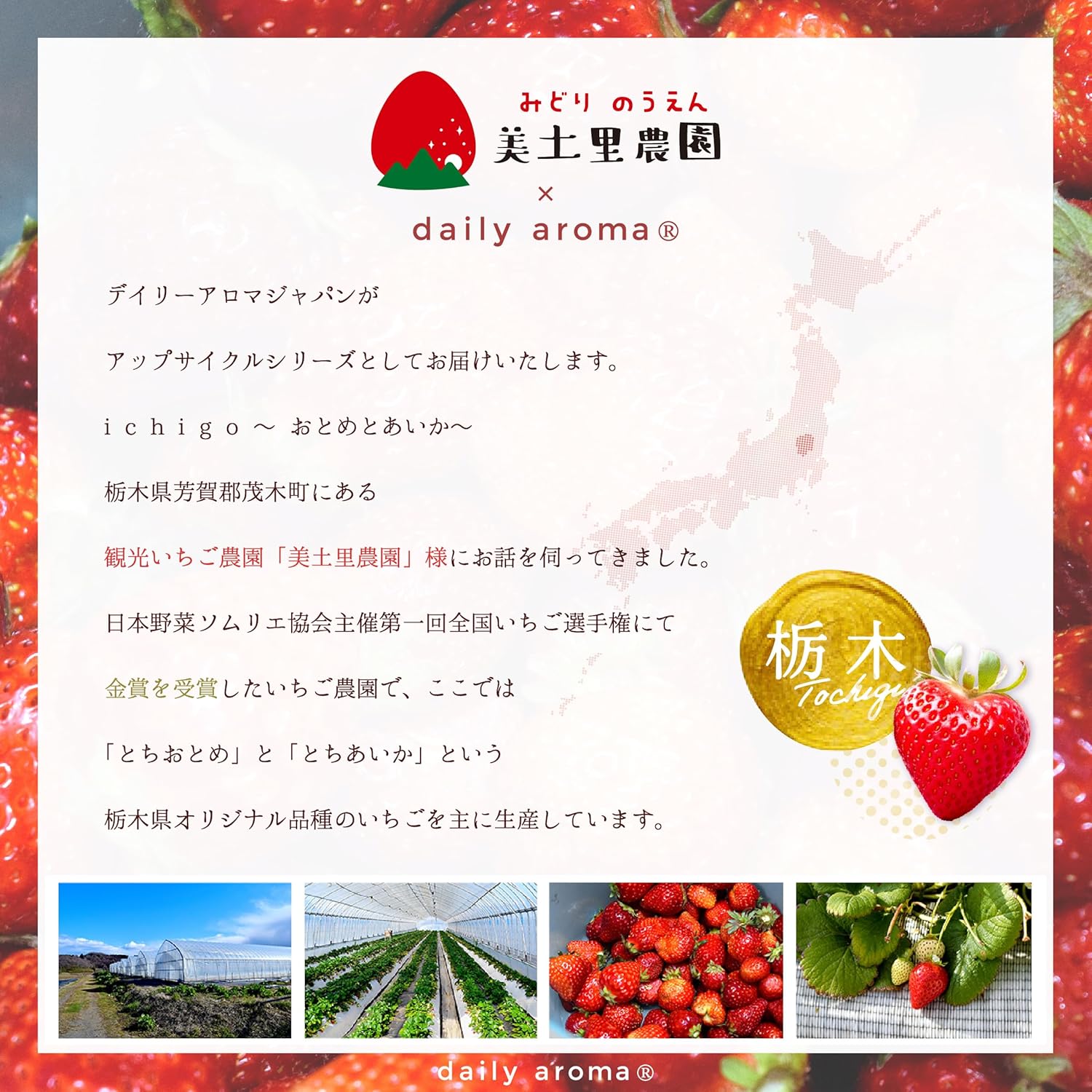 Tochigi Prefecture, Strawberry Farm, Mikori Farm Collaboration Product, Juicy Face Mask ~ Otome and Watermelon (1 Piece) | デイリーアロマジャパン 日本製 ビタミンC誘導体 コラーゲン 吸着シート とちおとめ とちあいか 苺 保湿 乾燥 ギフト いちご果実エキス配合