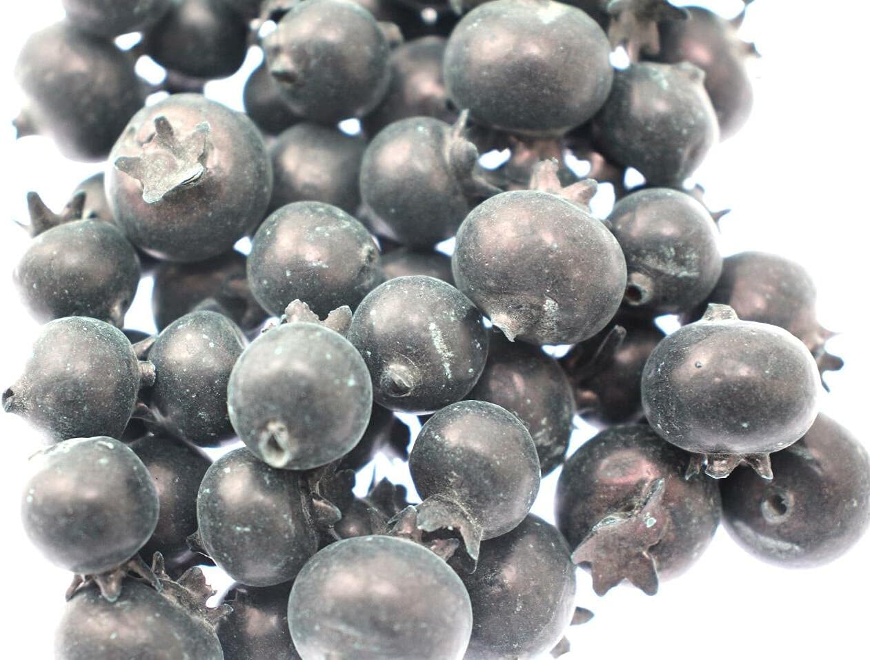 Speed mao Realistic Blueberry Big Small Sample Food Model Pack
