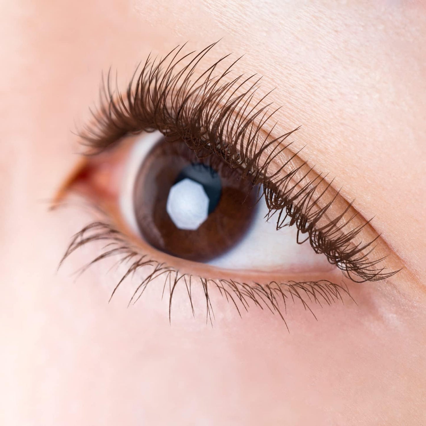 Excel LC01 Long & Color Drash (Dark Walnut) Mascara