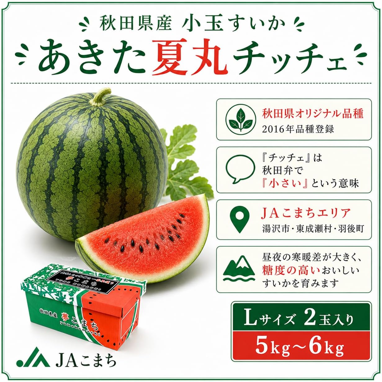 JA Komachi Akita Natsunamaru Chiche, Small Watermelon, Made in Akita Prefecture, L x 2 Balls, Approx. 11.0 lbs (5 kg) - 13.2 lbs (6 kg), Shipping Time: Mid July - Early August, Delivery Date cannot be specified