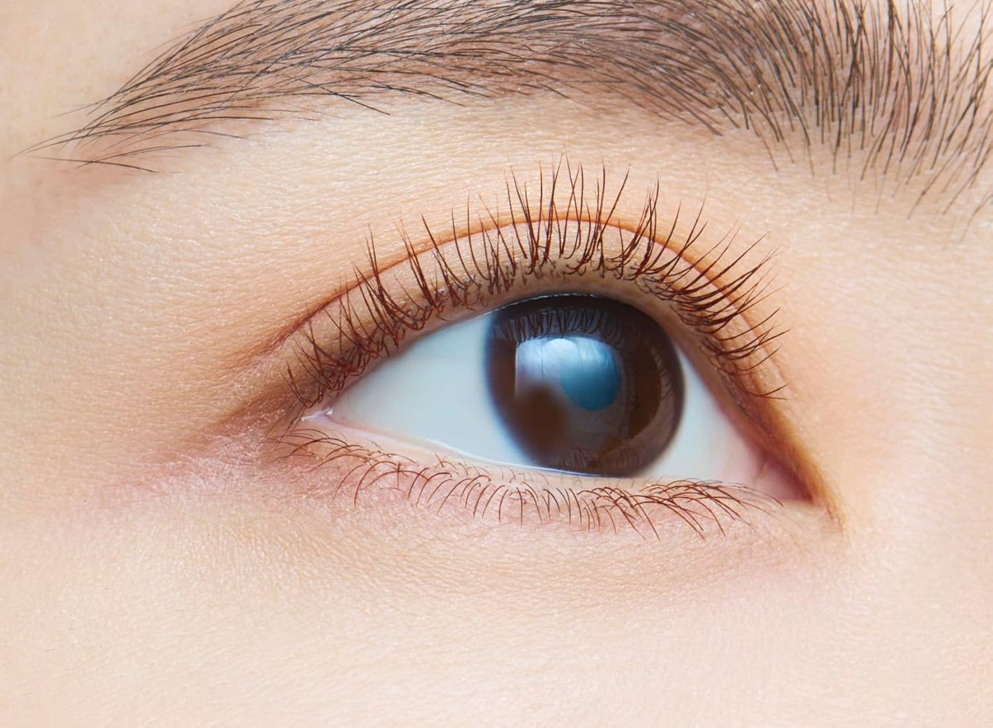 dejavu Lash Up E2 Dark Brown 1pc (x1)