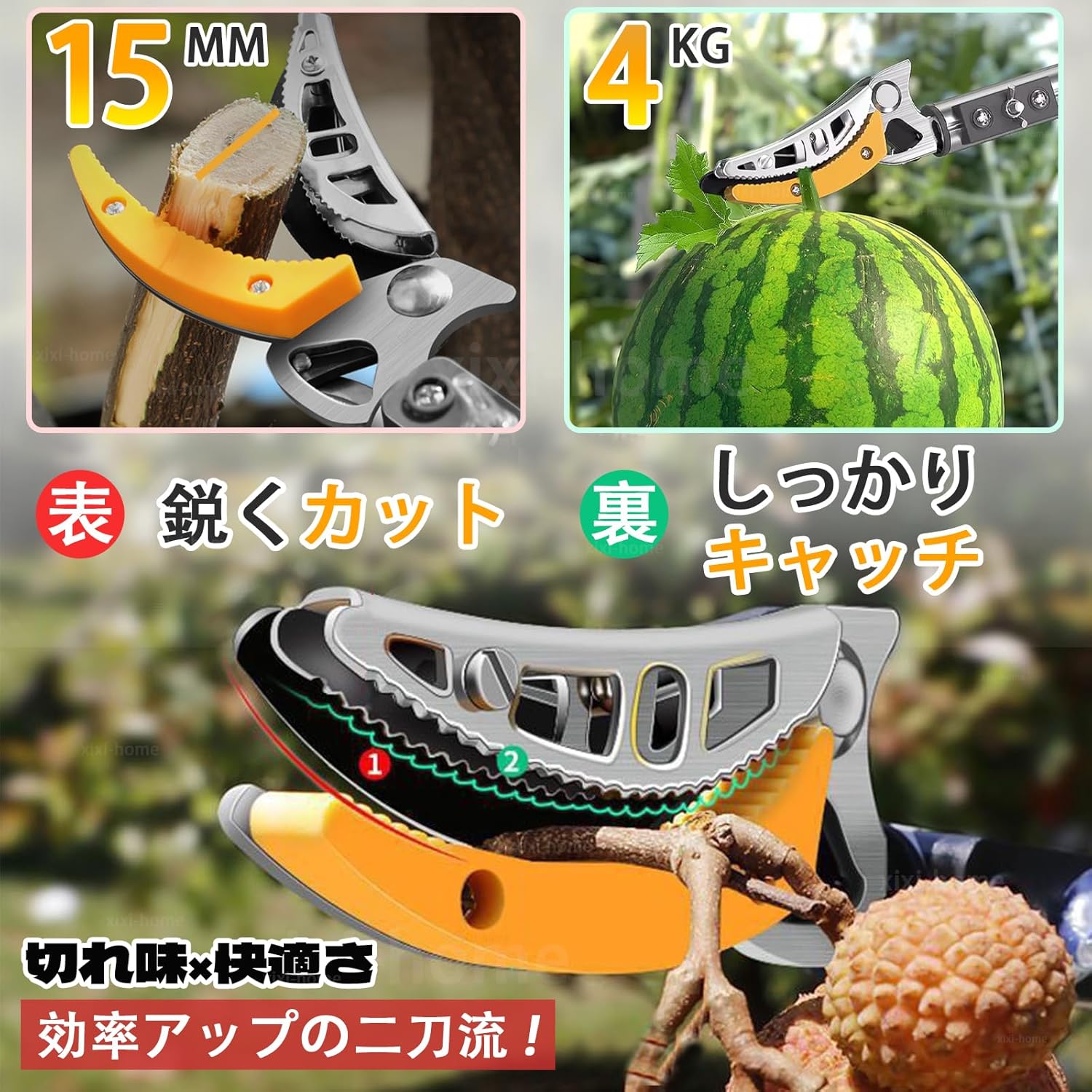 Telescopic High Branch Cutting Shears 【Gardener Recommended】 SK5 High-Grade Alloy Steel 2-Stage 3-Stage 2m 3m 4m 5m Lightweight with Saw Lock Fruit Picking High Branch Cutting Shears High
